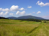 Landscape under Babia hora (Babia hill)